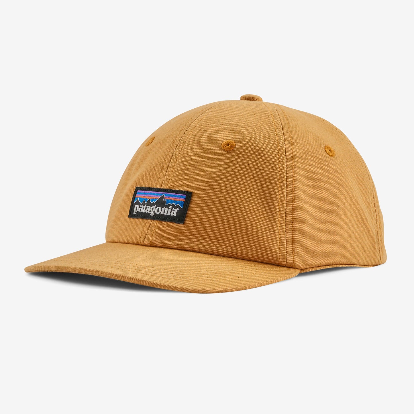 PATAGONIA - P-6 Label  Trad Cap