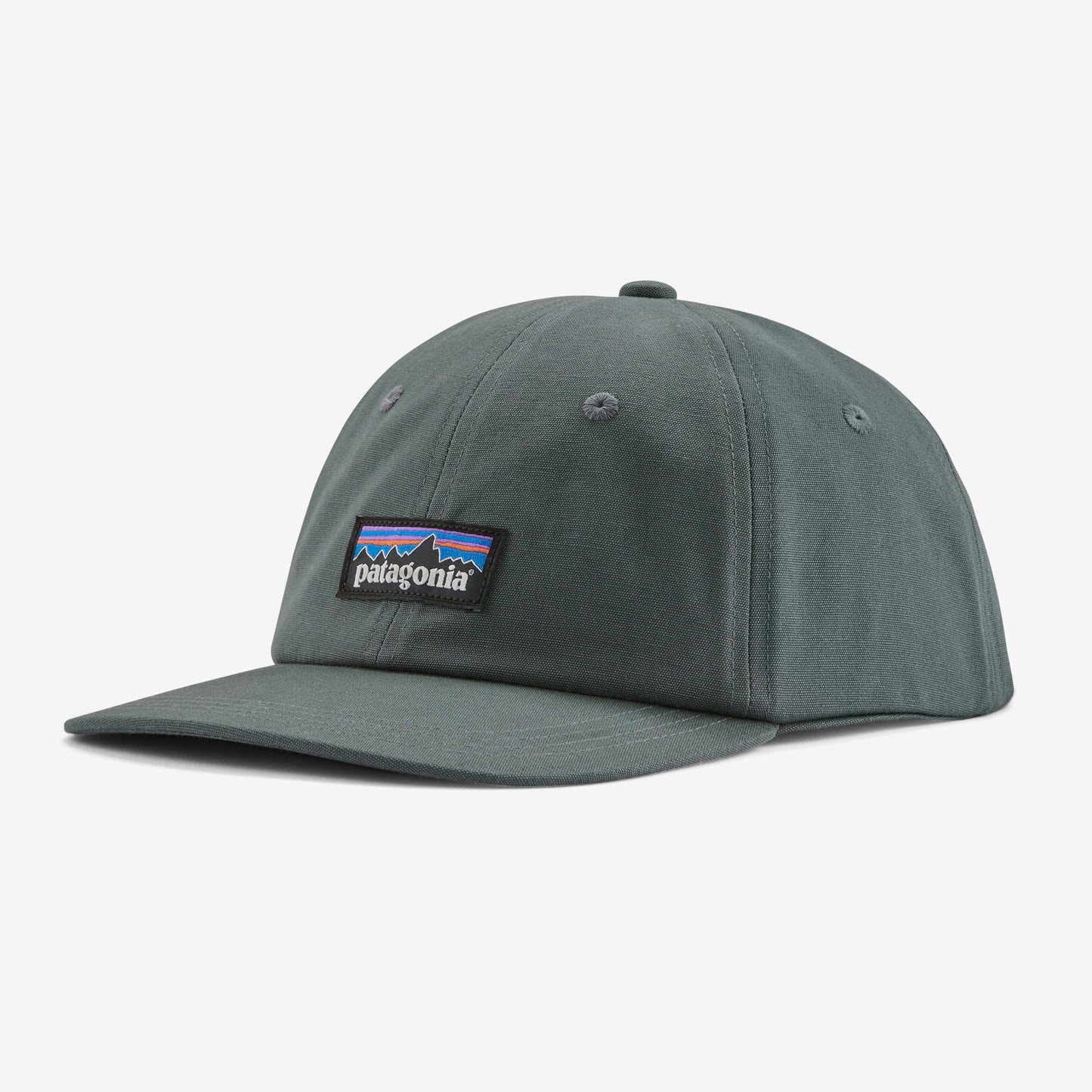 PATAGONIA - P-6 Label  Trad Cap