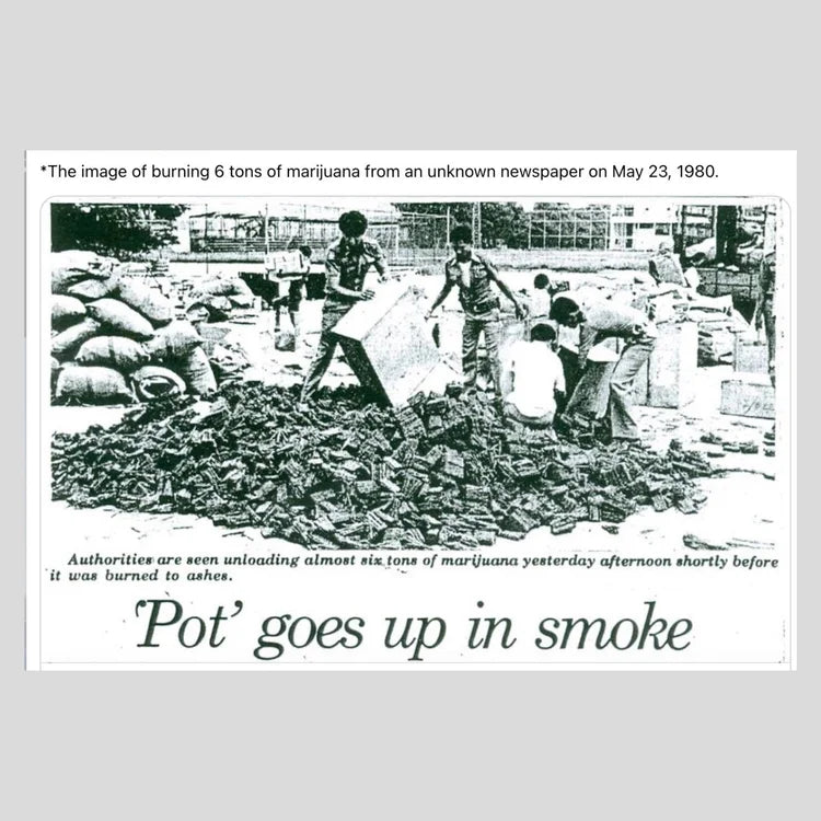 STONE FREE — From Choirboy to Ganja Kingpin book