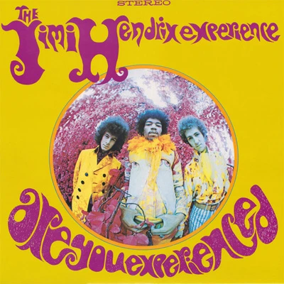 JIMI HENDRIX EXPERIENCE - Are You Experienced (VINYL) NEW