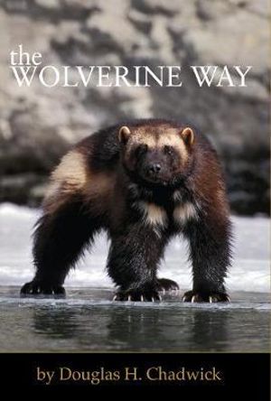 The Wolverine Way Book Douglas H Chadwick