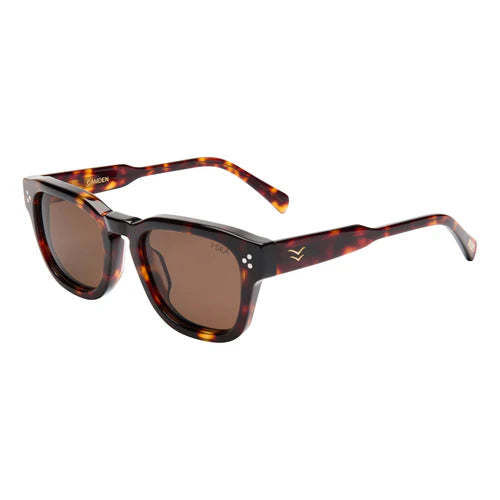 I-SEA EYEWEAR - CAMDEN - TORT / BROWN POLARISED LENS