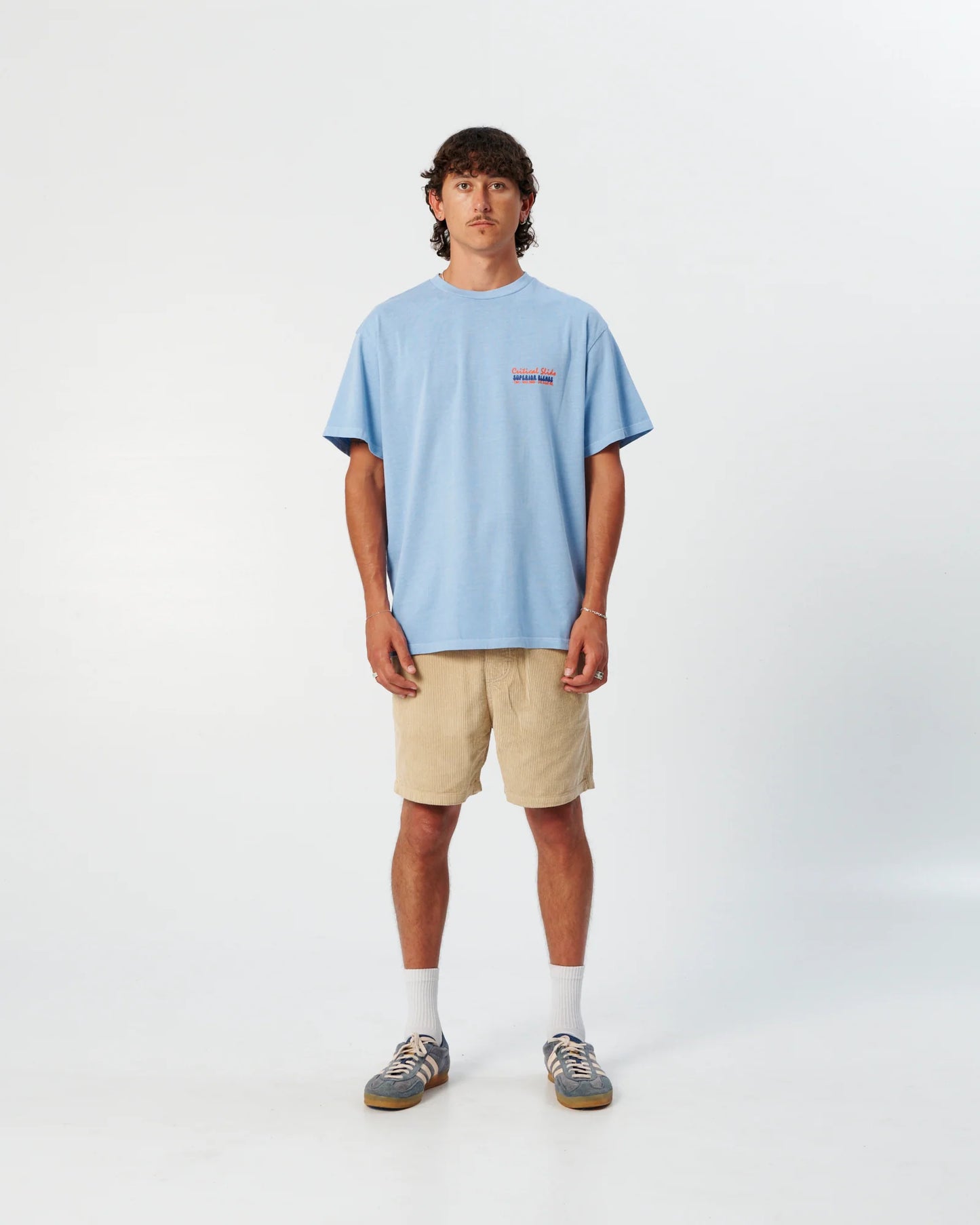 THE CRITICAL SLIDE SOCIETY - The Blends Tee - Powder Blue