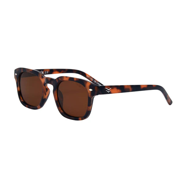 I-SEA EYEWEAR - BLAIR 2 -  TORT / BROWN POLARIZED LENS