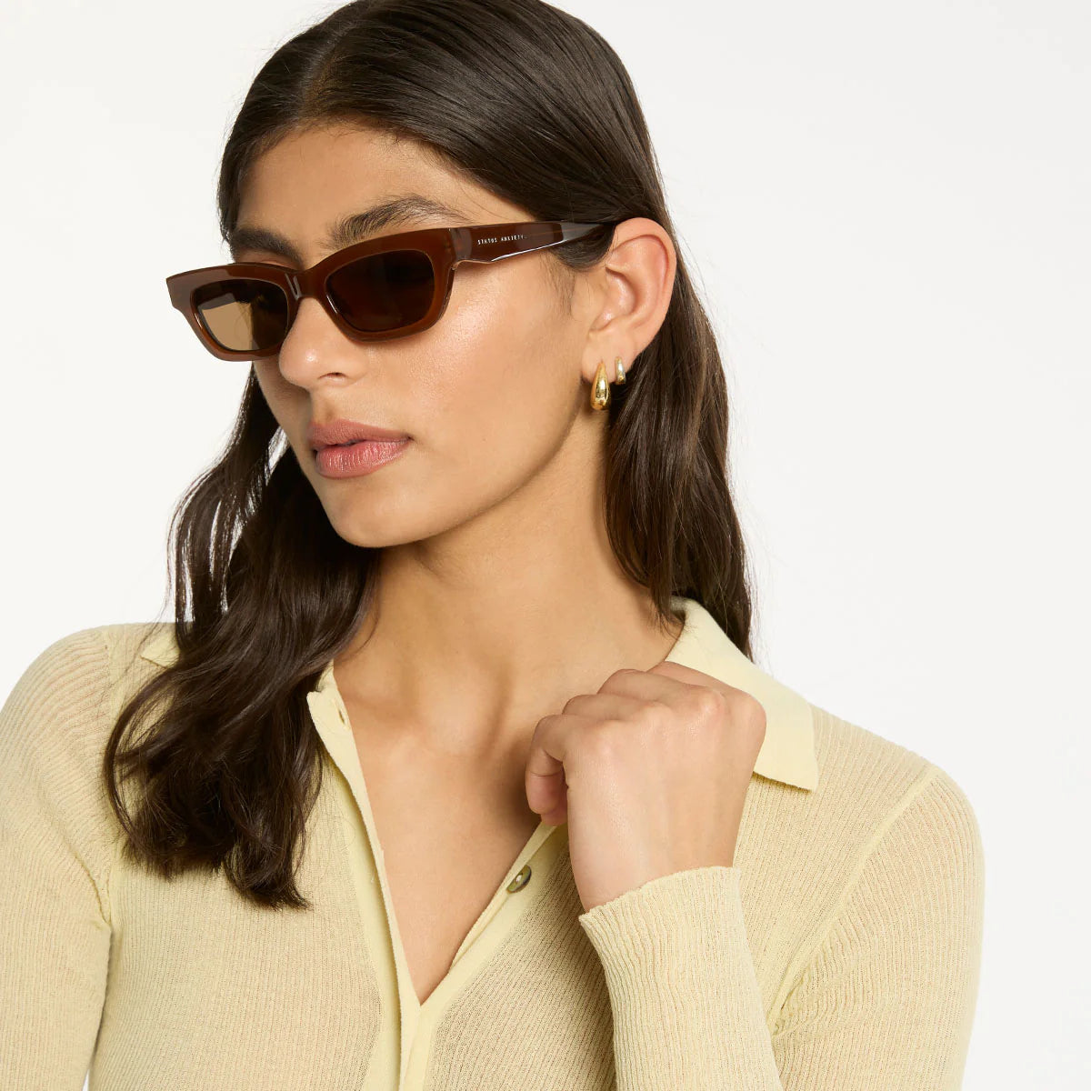 STATUS ANXIETY - Levity Sunglasses - BROWN