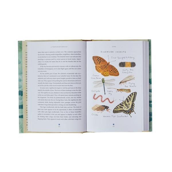A Temporary Refuge: Fourteen Seasons With Wild Summer Steelhead By Lee Spencer  Book