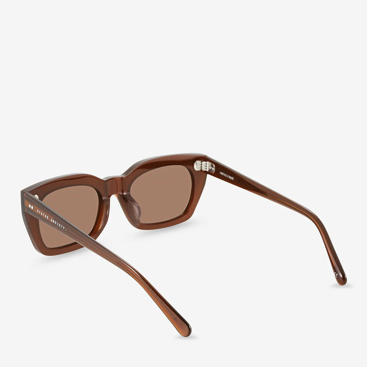 STATUS ANXIETY - Sunglasses Antagonist - Brown