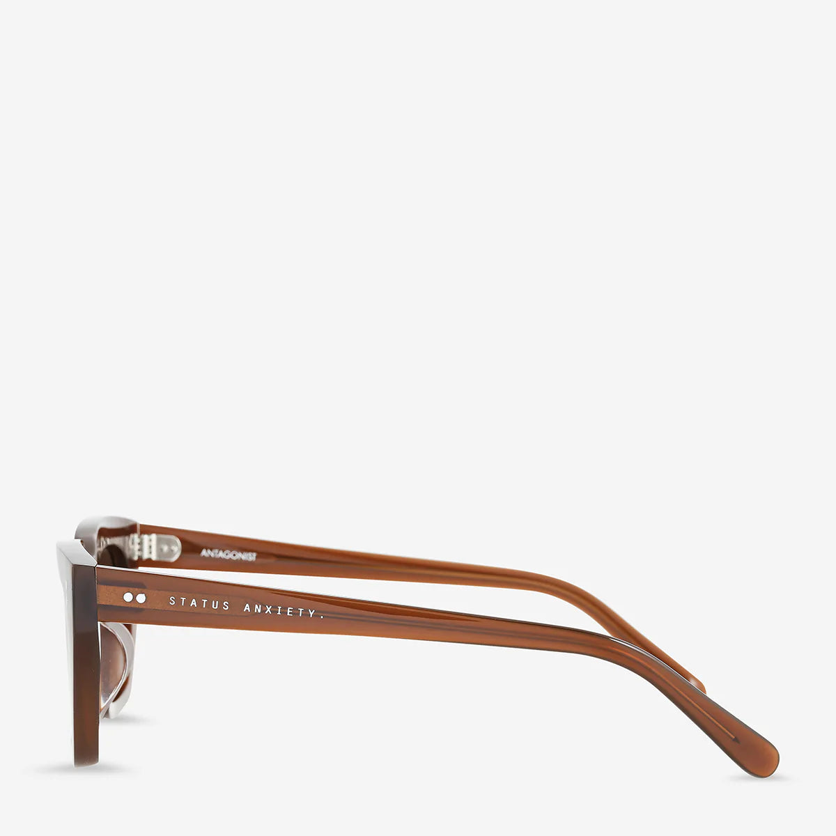 STATUS ANXIETY - Sunglasses Antagonist - Brown